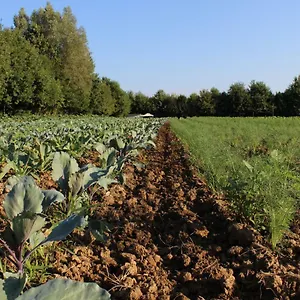 Alloggio per agriturismo Corte Bertesina, Vicenza